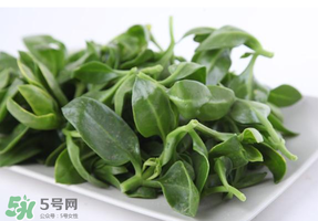 冰菜和穿心蓮是同一種菜嗎？冰菜和穿心蓮是一科嗎？
