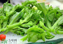 冰菜孕婦能吃嗎？孕婦能不能吃冰菜？