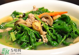 冰菜孕婦能吃嗎？孕婦能不能吃冰菜？
