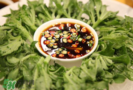 冰菜怎么涼拌？冰菜可以用沙拉醬拌嗎？