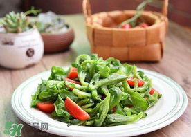 冰菜怎么涼拌？冰菜可以用沙拉醬拌嗎？