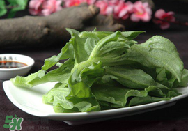 冰菜可以生吃嗎？冰菜能生吃嗎？