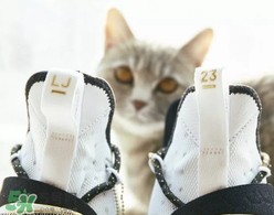 nike lebron 14怎么樣？耐克lebron 14測評