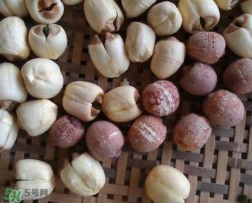 芡實(shí)不能和什么一起吃？芡實(shí)不能與什么同食？