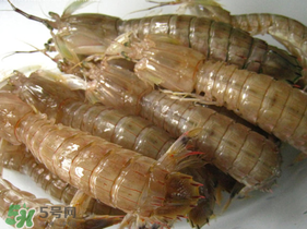 瀨尿蝦是皮皮蝦嗎？瀨尿蝦和皮皮蝦的區(qū)別