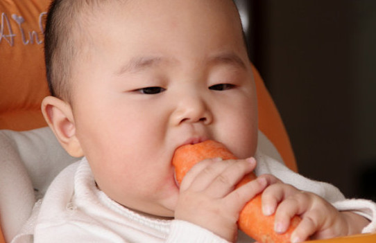 胡蘿卜與什么不能同食？胡蘿卜不能和什么一起吃