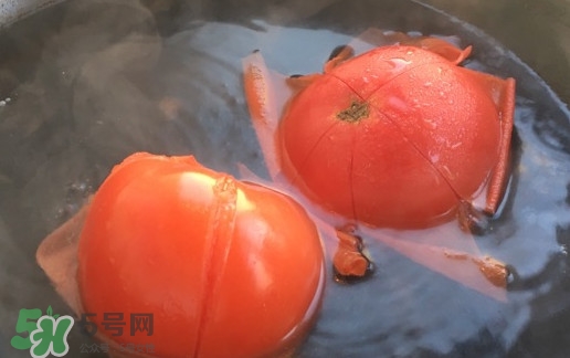 番茄怎么去皮？如何給番茄去皮