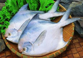 蠶豆和魚能一起吃嗎？蠶豆和魚吃相克嗎？