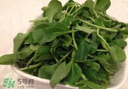 雞毛菜怎么做？雞毛菜的做法