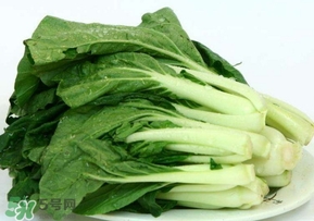雞毛菜怎么做？雞毛菜的做法