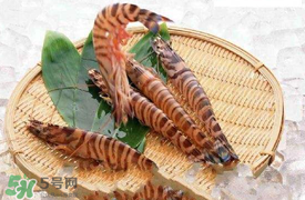 蝦爬子怎么扒皮？蝦爬子怎么剝殼？