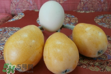 枇杷是什么季節(jié)的水果？枇杷什么季節(jié)吃