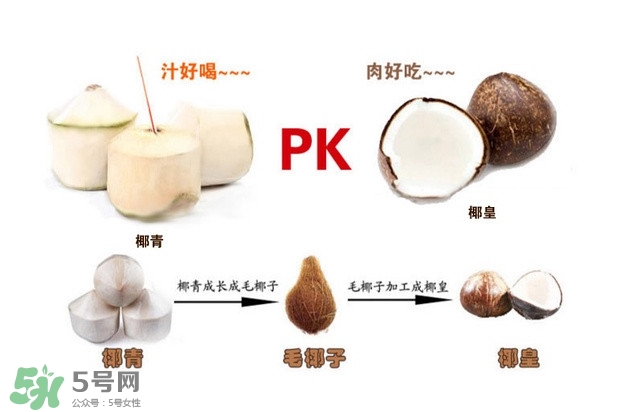 椰子怎么打開？椰子殼怎樣打開