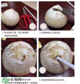 椰子怎么打開？椰子殼怎樣打開