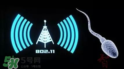 wifi殺精嗎？wifi殺精是真的嗎？