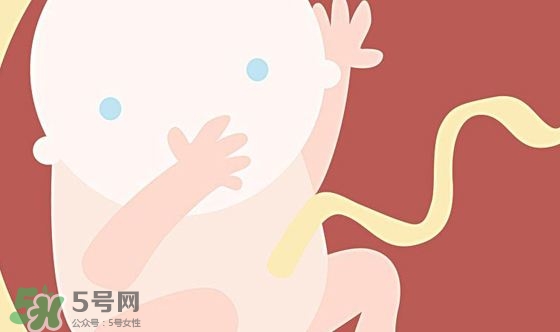 胎兒發(fā)育關(guān)鍵時期是什么時候？胎兒發(fā)育黃金期