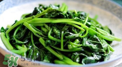 苕尖是發(fā)物嗎？苕尖是不是發(fā)物