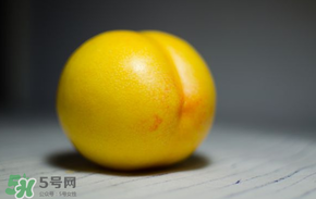 黃金油桃多少錢一斤？黃金油桃什么時(shí)候成熟？