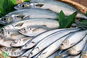 2017鲅魚多少錢一斤？鲅魚多少錢一斤2017？