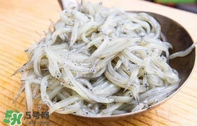銀魚是面條魚嗎？面條魚和銀魚的區(qū)別