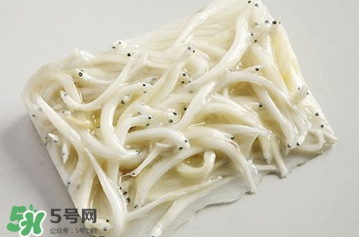 面條魚是什么魚？面條魚是海水魚嗎