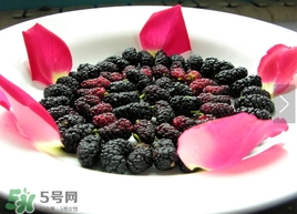 覆盆子是桑葚嗎？覆盆子和桑葚的區(qū)別