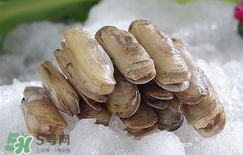 蟶子死了是什么樣子？死蟶子是什么樣子