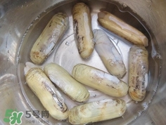 怎么樣讓蟶子吐沙？如何讓蟶子吐沙