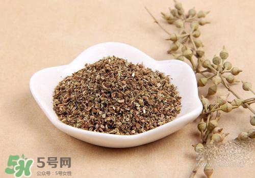 吃中藥可以吃魚？吃中藥吃魚會(huì)怎么樣？
