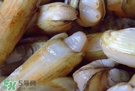 蟶子是海鮮嗎？蟶子是海鮮還是河鮮