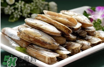 蟶子是海鮮嗎？蟶子是海鮮還是河鮮
