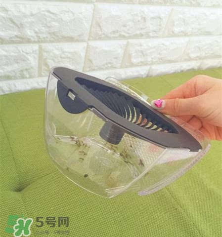 inadays滅蚊燈有用嗎？inadays滅蚊燈有效果嗎？
