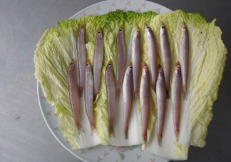 青島面條魚是什么魚？青島面條魚叫什么