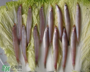 青島面條魚是什么魚？青島面條魚叫什么