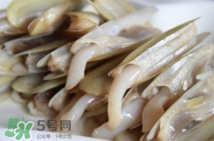 蟶子死了是什么樣子？死蟶子是什么樣子