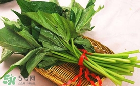 苕尖怎么炒？苕尖的做法
