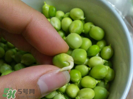新鮮豌豆發(fā)芽了能吃嗎？豌豆發(fā)芽了還能吃嗎？