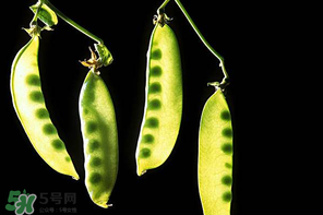 嫩豌豆能生吃嗎？為什么嫩豌豆可以生吃？