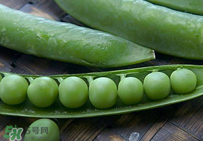 剝好的豌豆怎么保存？剝好的豌豆米怎么保存？
