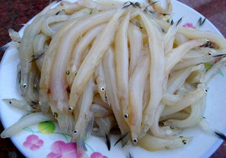 面條魚如何保存？面條魚怎么保存