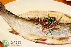 白條魚(yú)怎么做好吃？白條魚(yú)怎么吃好吃