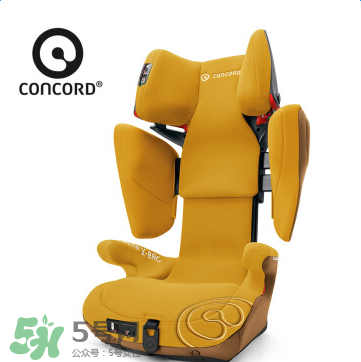 concord中文是什么？concord的中文名字怎么翻譯？