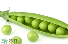 生豌豆有毒嗎？豌豆生吃有毒嗎？
