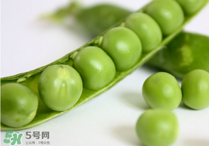 生豌豆有毒嗎？豌豆生吃有毒嗎？
