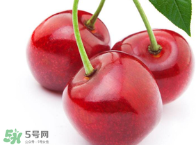 新鮮櫻桃如何保存？新鮮櫻桃能放多久？