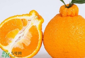 丑八怪水果多少錢一斤？不知火雜柑一斤多少錢