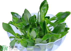 救心菜有毒嗎？救心菜怎么吃沒毒？