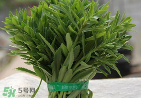 救心菜有毒嗎？救心菜怎么吃沒毒？