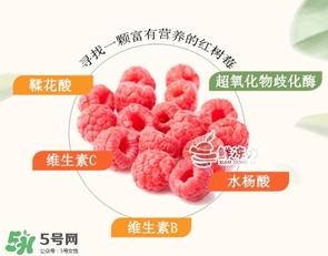 樹莓可以生吃嗎？樹莓怎么吃？