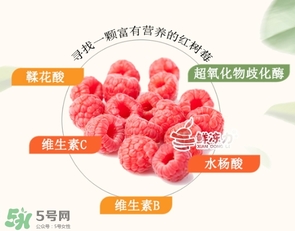 樹莓怎么保存？樹莓保存方法